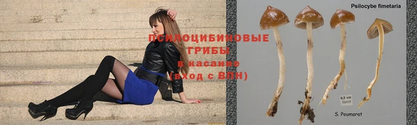 прущий лед Бронницы