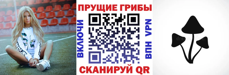 Галлюциногенные грибы мицелий  кракен зеркало  Гдов 