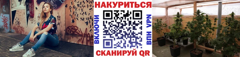 Марихуана THC 21%  Гдов 